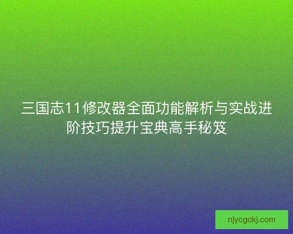 三国志11修改器全面功能解析与实战进阶技巧提升宝典高手秘笈