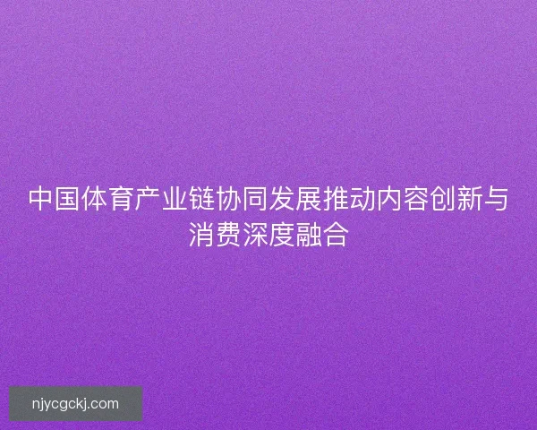 中国体育产业链协同发展推动内容创新与消费深度融合